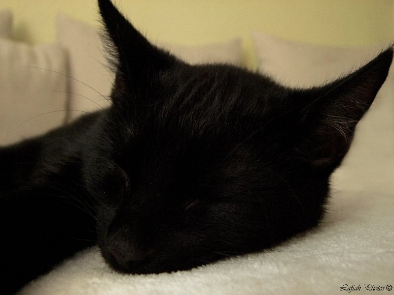DSCF1768.jpg