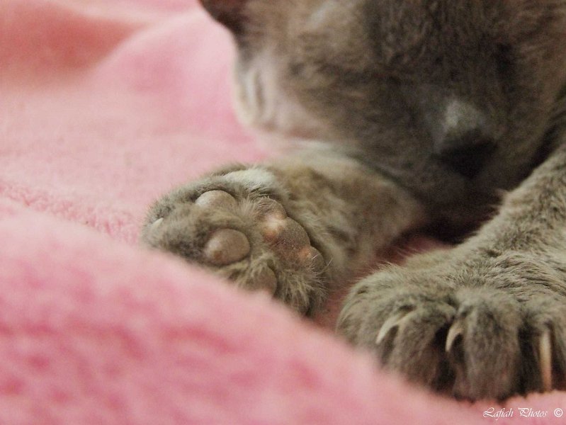 Tiere09_201004.jpg