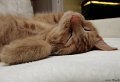 2_DSCF1629