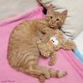 DSCF1712_