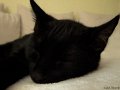 DSCF1768