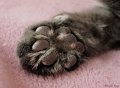 Tiere09_201003