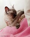 Tiere09_201008