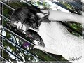 DSCF0588