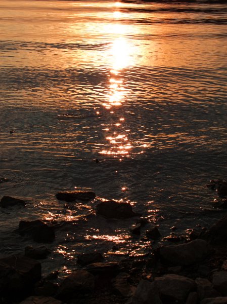 DSCF4196.jpg