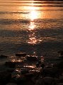 DSCF4196